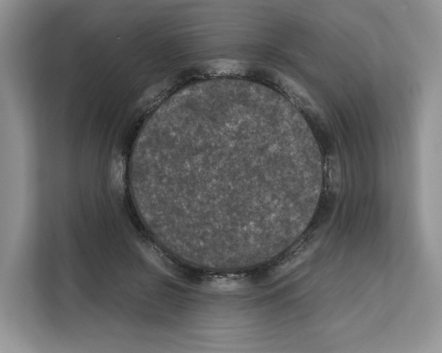 X0000111660550200908281112