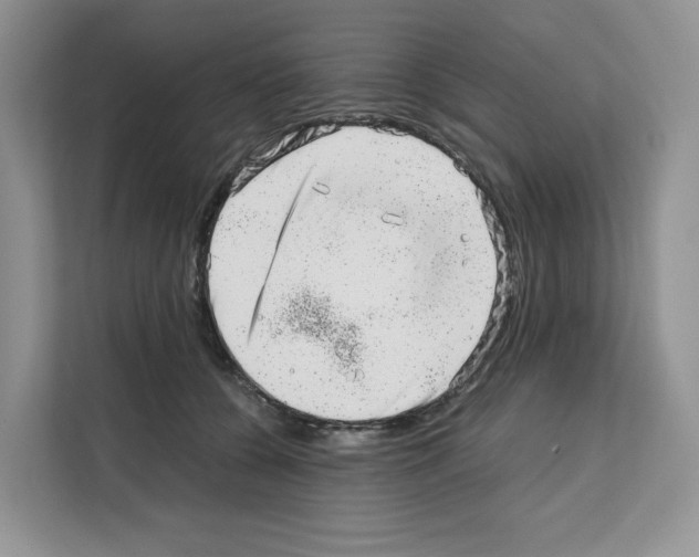 X0000111660560200908281112