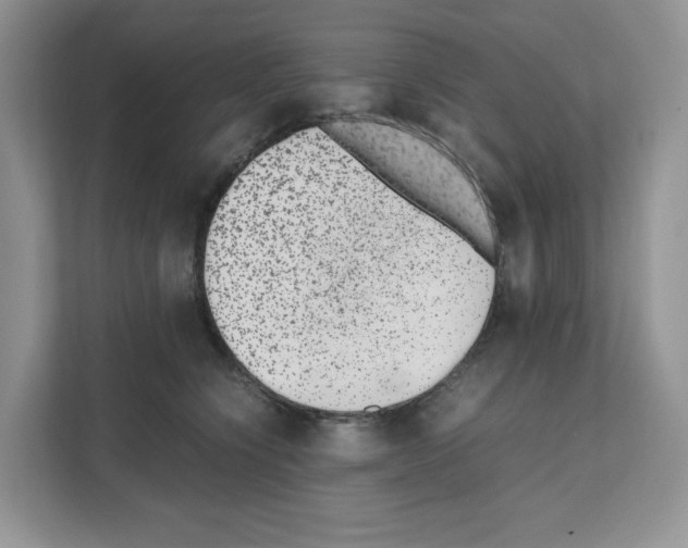 X0000111660564200908281112