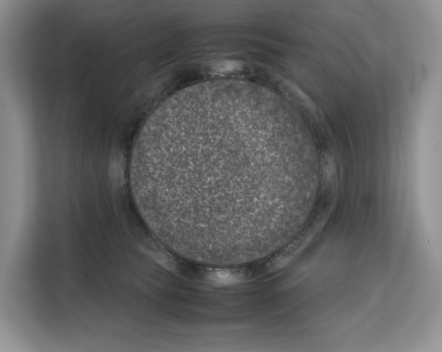 X0000111660565200908281112