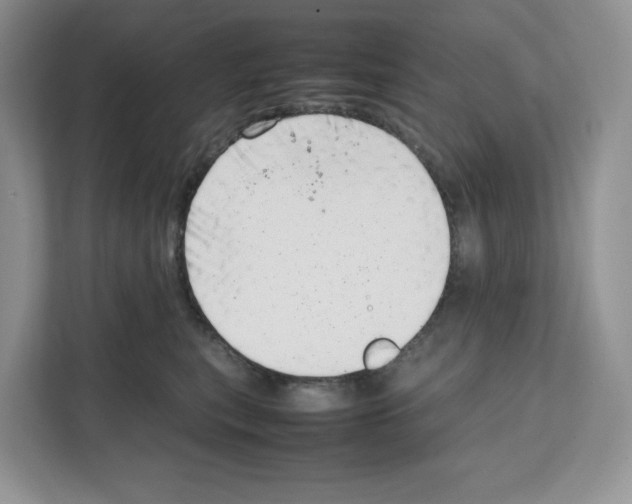 X0000111660567200908281112