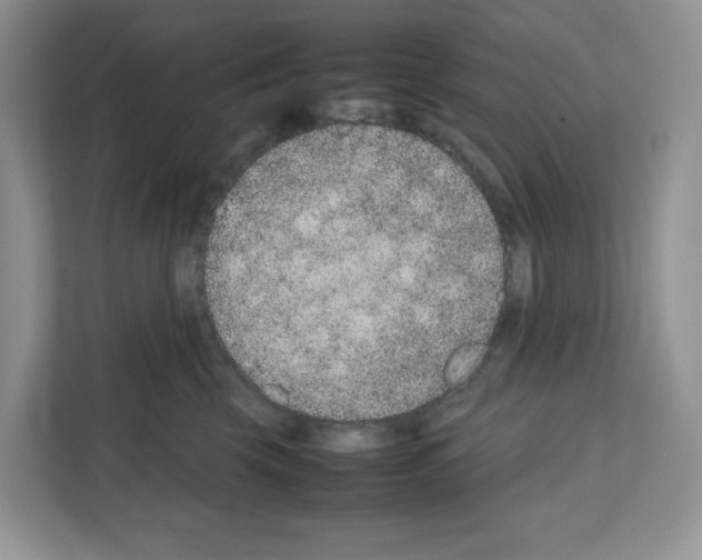 X0000111660569200908281112