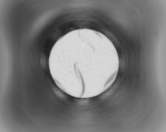 X0000111660574200908281112