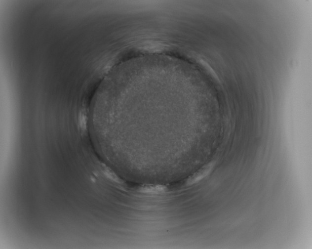 X0000111660576200908281112