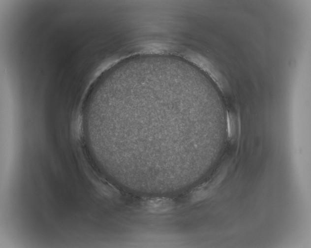 X0000111660579200908281111