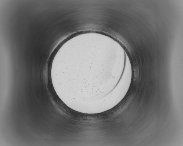 X0000111660580200908281111