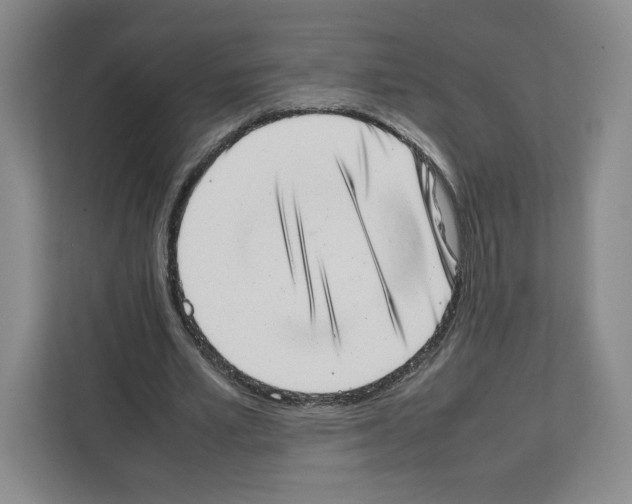 X0000111660581200908281111