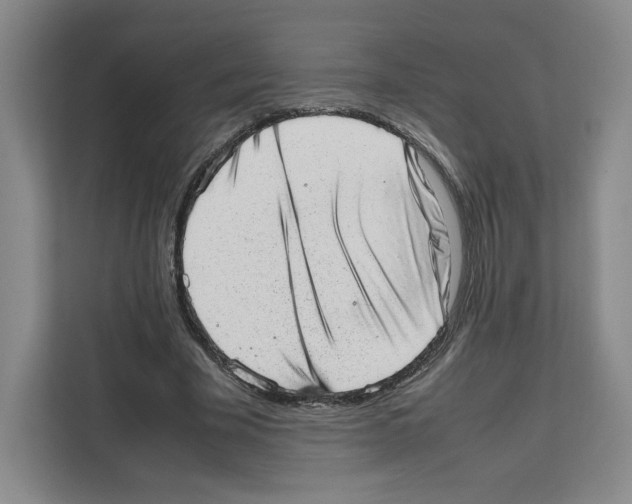 X0000111660585200908281111