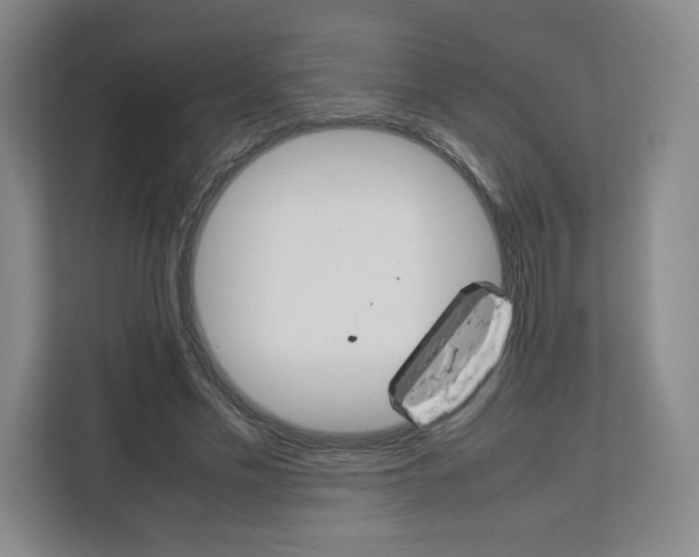 X0000111660589200908281111