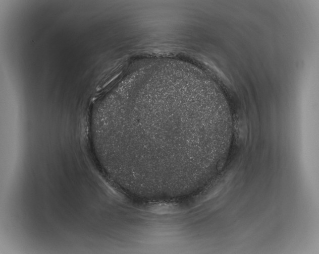 X0000111660593200908281111