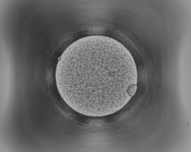 X0000111660599200908281111