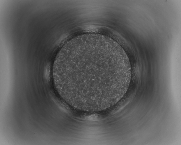 X0000111660600200908281111