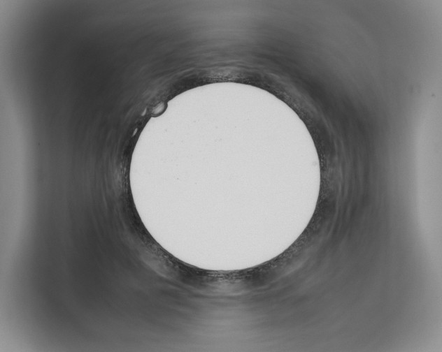 X0000111660601200908281111