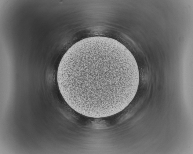 X0000111660603200908281111