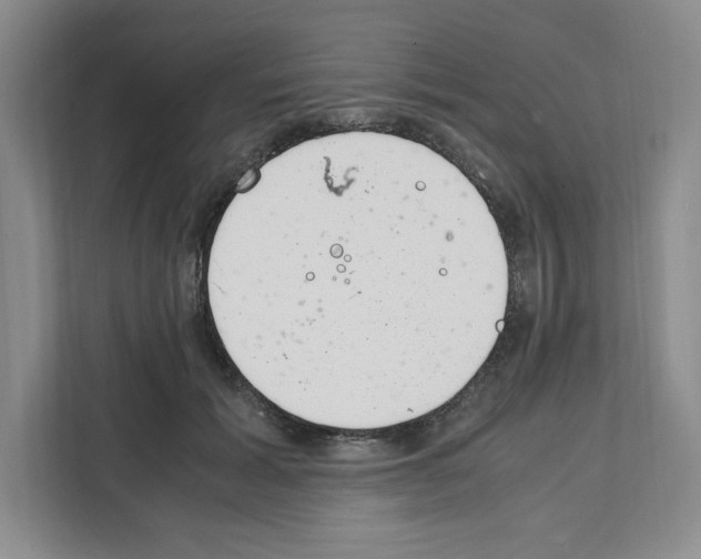 X0000111660605200908281111