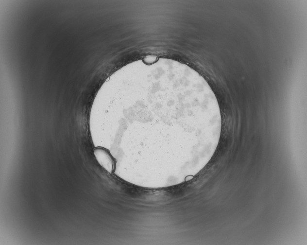 X0000111660609200908281111