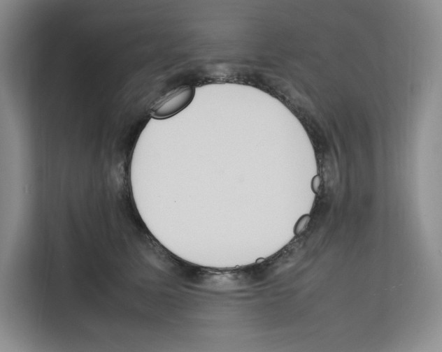 X0000111660611200908281111