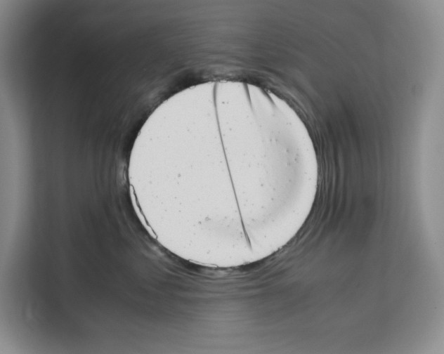 X0000111660621200908281111