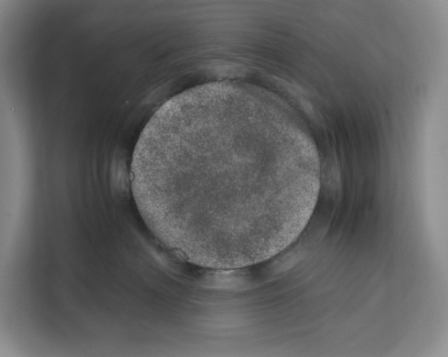 X0000111660622200908281111