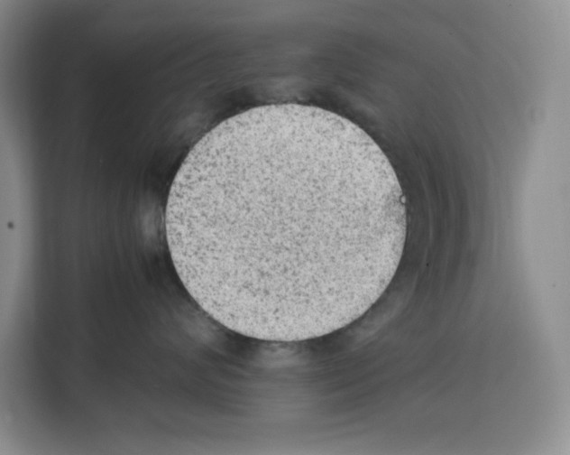 X0000111660624200908281111