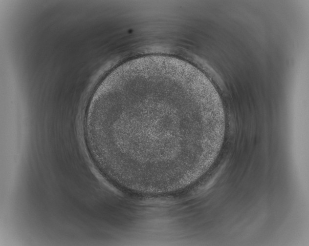 X0000111660625200908281110