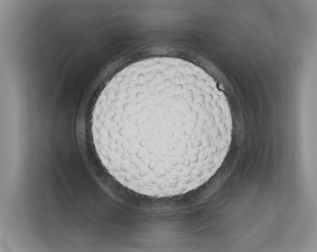 X0000111660626200908281110