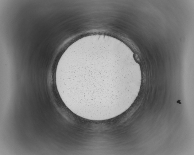 X0000111660628200908281110