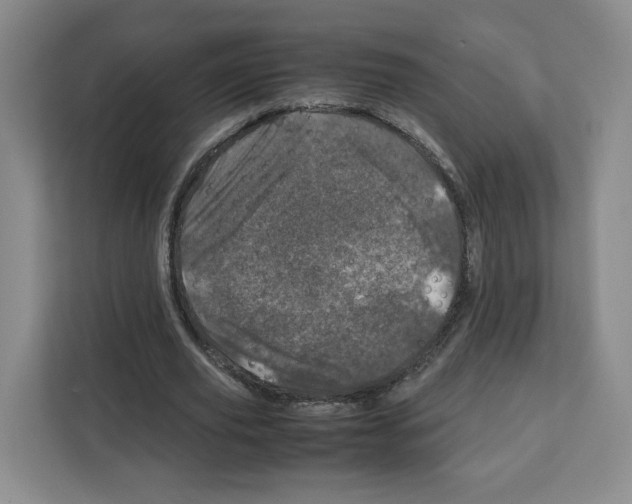 X0000111660629200908281110