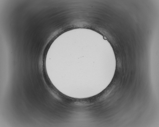 X0000111660630200908281110