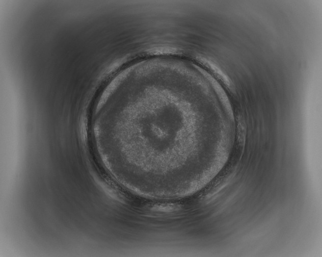 X0000111660631200908281110