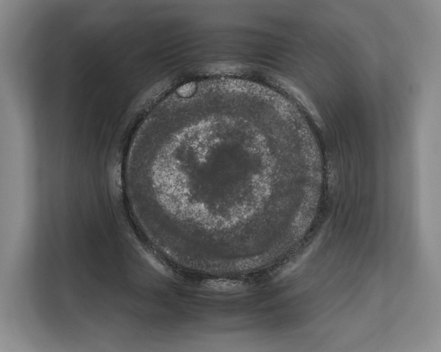 X0000111660633200908281110