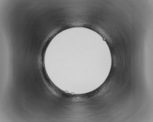 X0000111660634200908281110