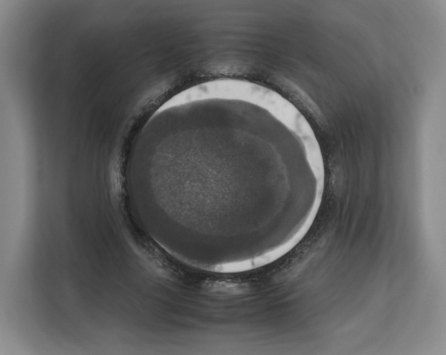 X0000111660635200908281110