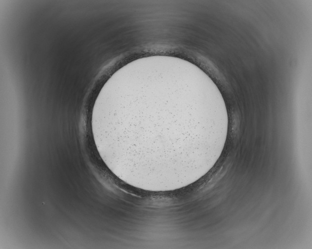 X0000111660636200908281110