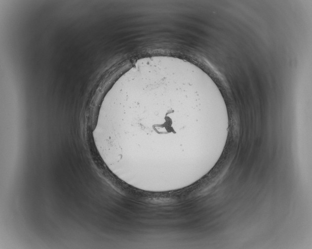 X0000111660637200908281110