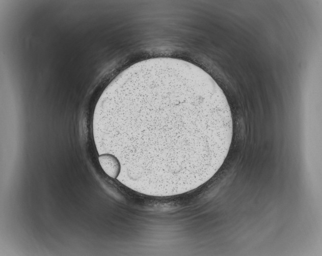 X0000111660638200908281110