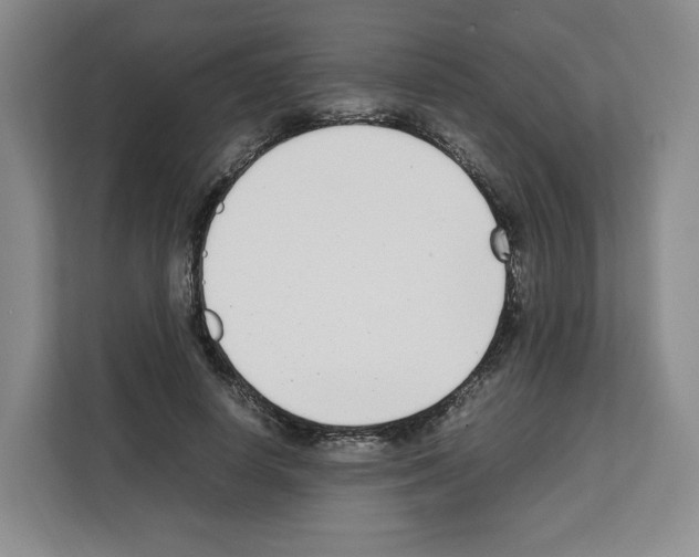 X0000111660642200908281110