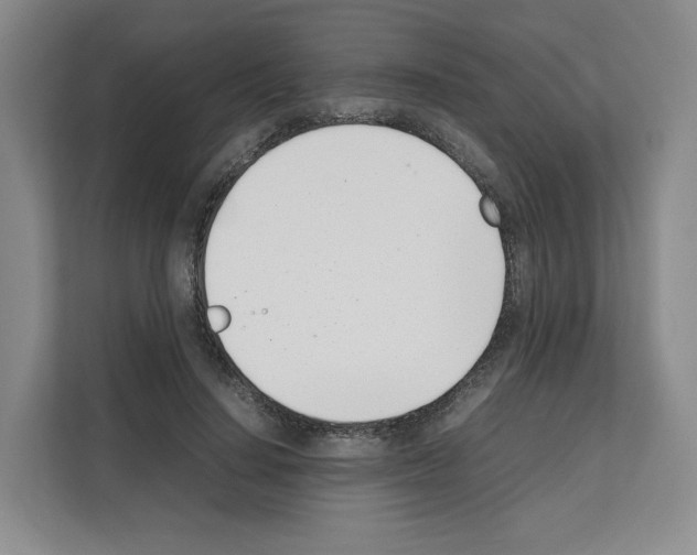 X0000111660644200908281110