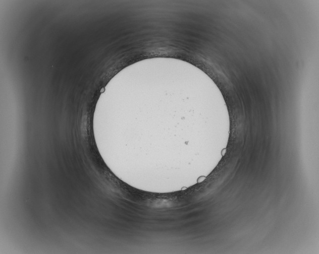 X0000111660647200908281110