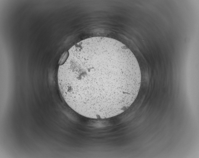 X0000111660663200908281111