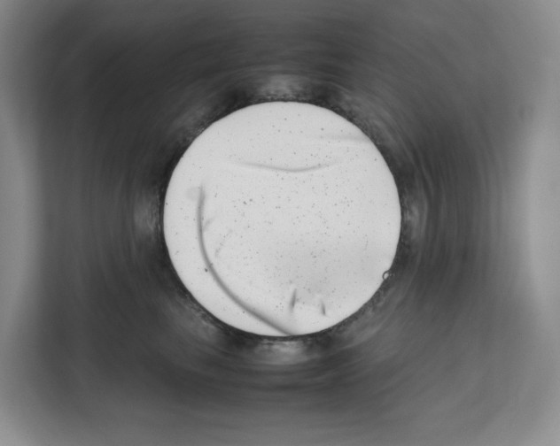 X0000111660665200908281111