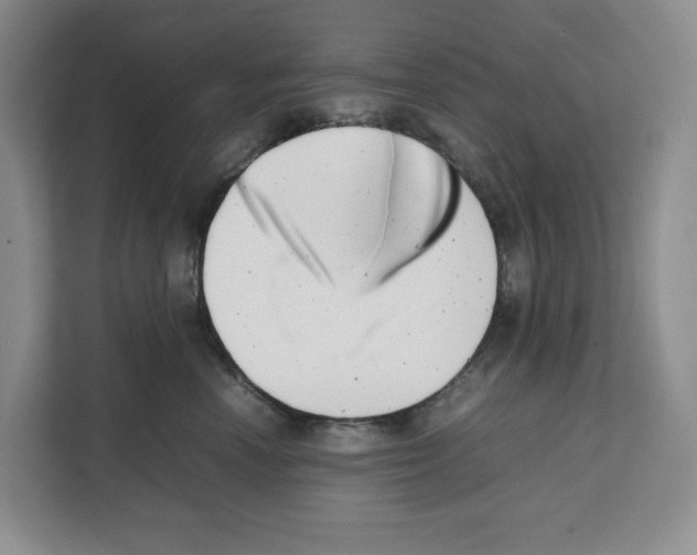 X0000111660666200908281111