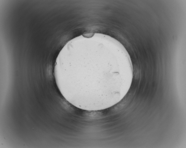 X0000111660670200908281111