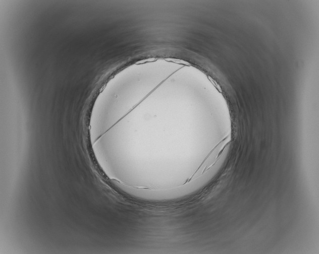 X0000111660673200908281110