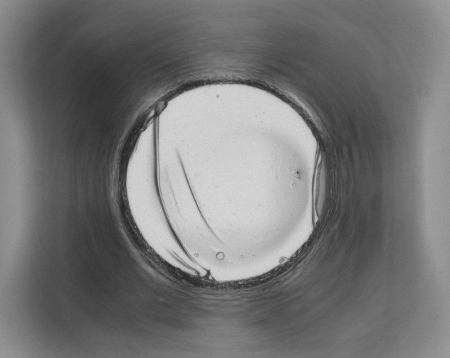 X0000111660677200908281110