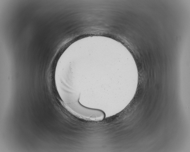 X0000111660679200908281110