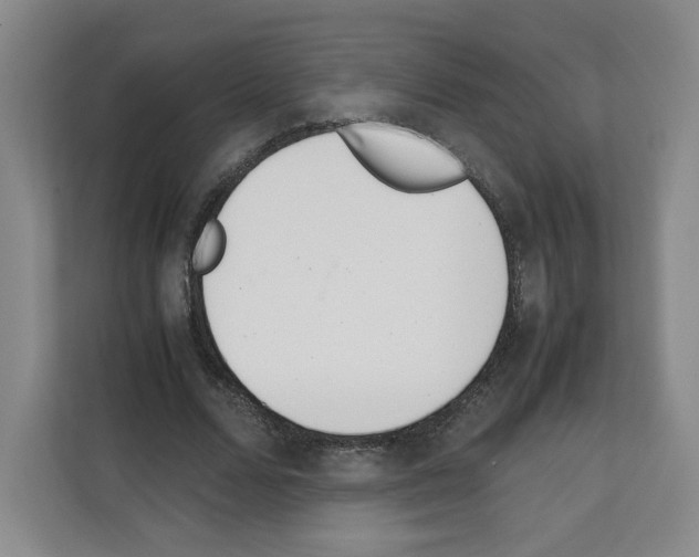 X0000111660680200908281110