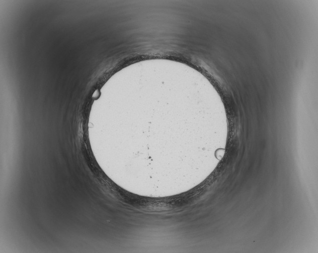 X0000111660685200908281110