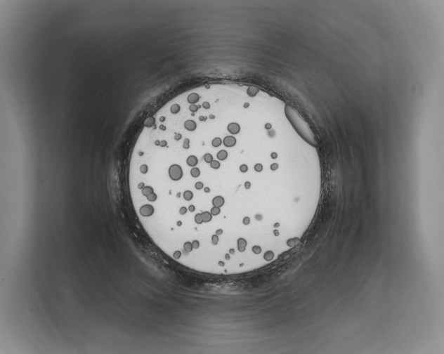 X0000111660688200908281110