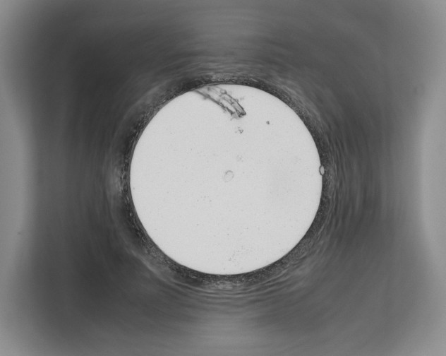 X0000111660691200908281110